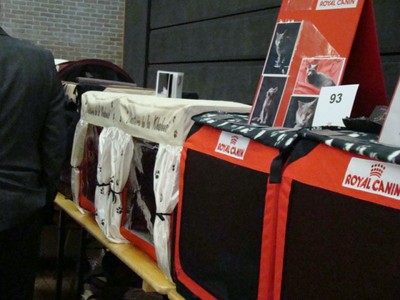 20121021_144 (Expo)